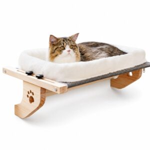 Cat Bed