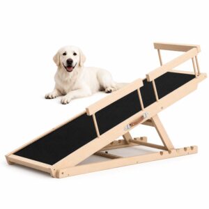 dog Ramp