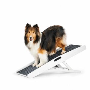 dog Ramp