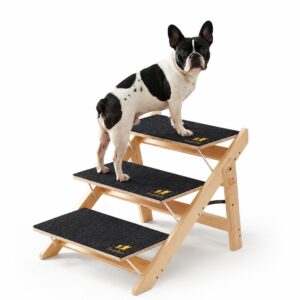 dog Ramp