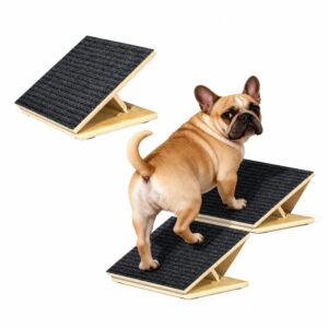 dog Ramp