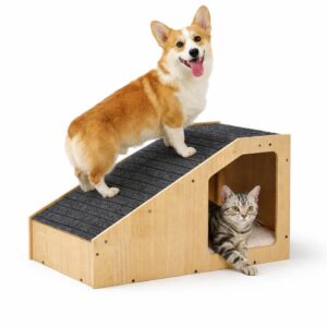 dog Ramp