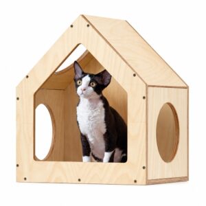 pet house